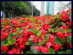 People's Park (Renmin Gongyuan), central Yuexiu. It was etablished in 1921 as the first public park in Guangzhou. It is situated between Dr Sun Yat-Sen Memorial Hall/Yuexiu Park and Jiefang Road.